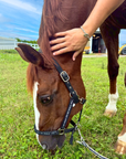 Horse & Shoe Bracelet(ホースアンドシューブレスレット)